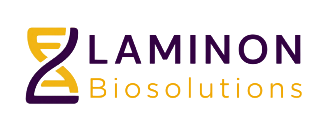 Laminon